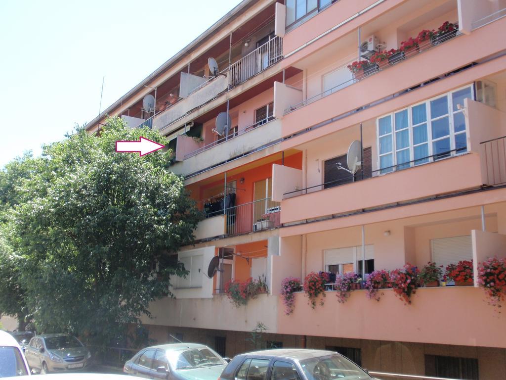 Apartment Bizjak Pula Buitenkant foto